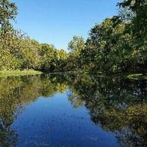 Meet your Posher, Terrie